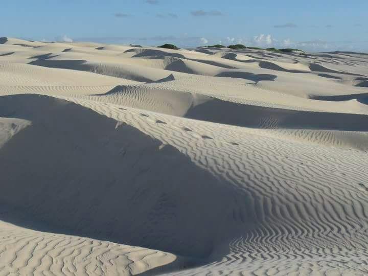 Pousada Grao De Areia Beira Mar 망게세코 외부 사진